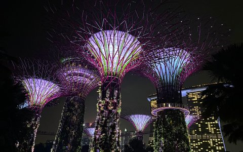 Singapur i Malezja Gardens By The Bay nocą.jpg